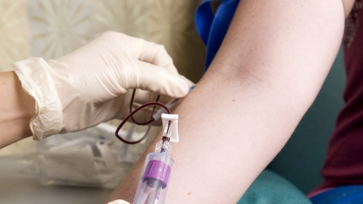 The Role of Regular Vein Care Check-Ups
